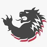 LOK Grips discount code